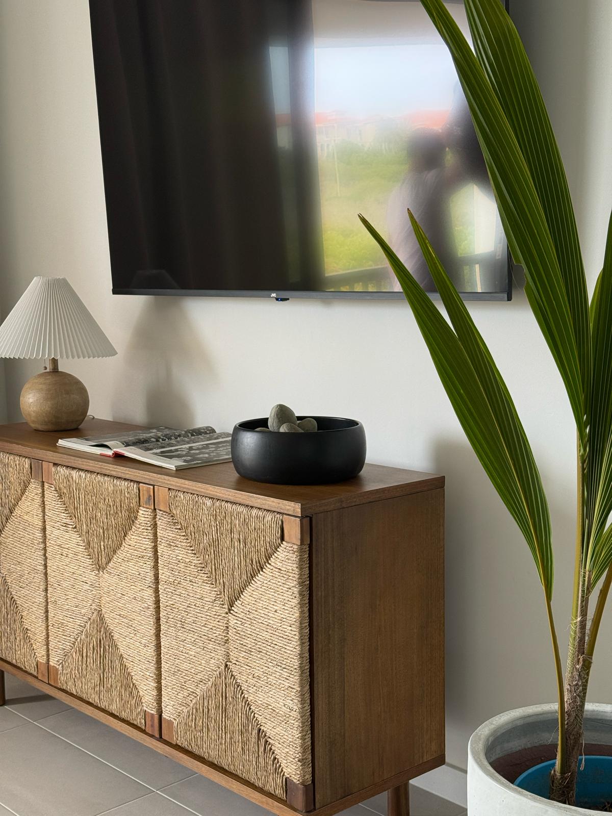Apartment interior with textured wooden console, television and tropical plant